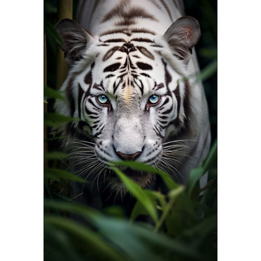 White Tiger Blue Eyes Painting